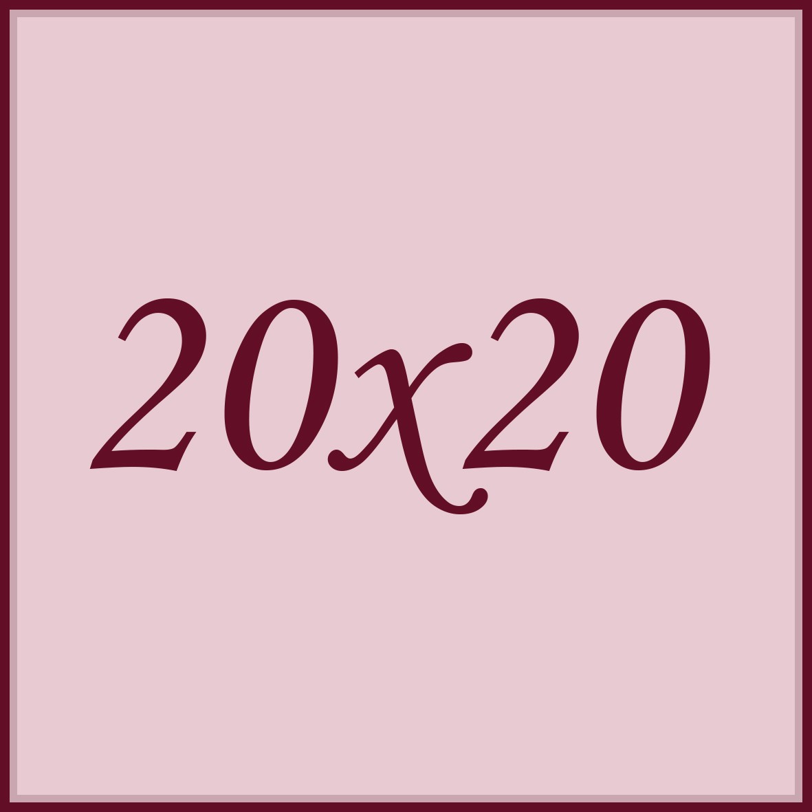 20x20