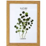 D513 13x18 képkeret